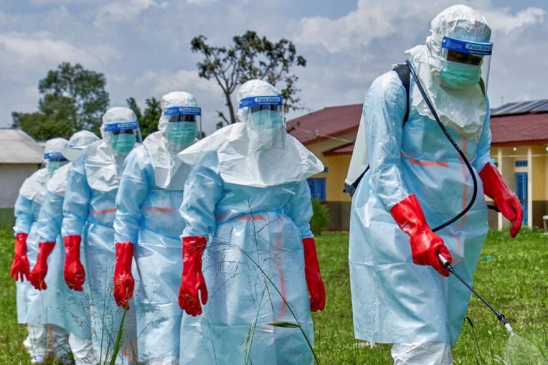 500 patients