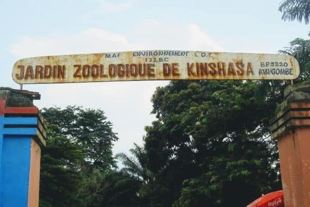 zoo