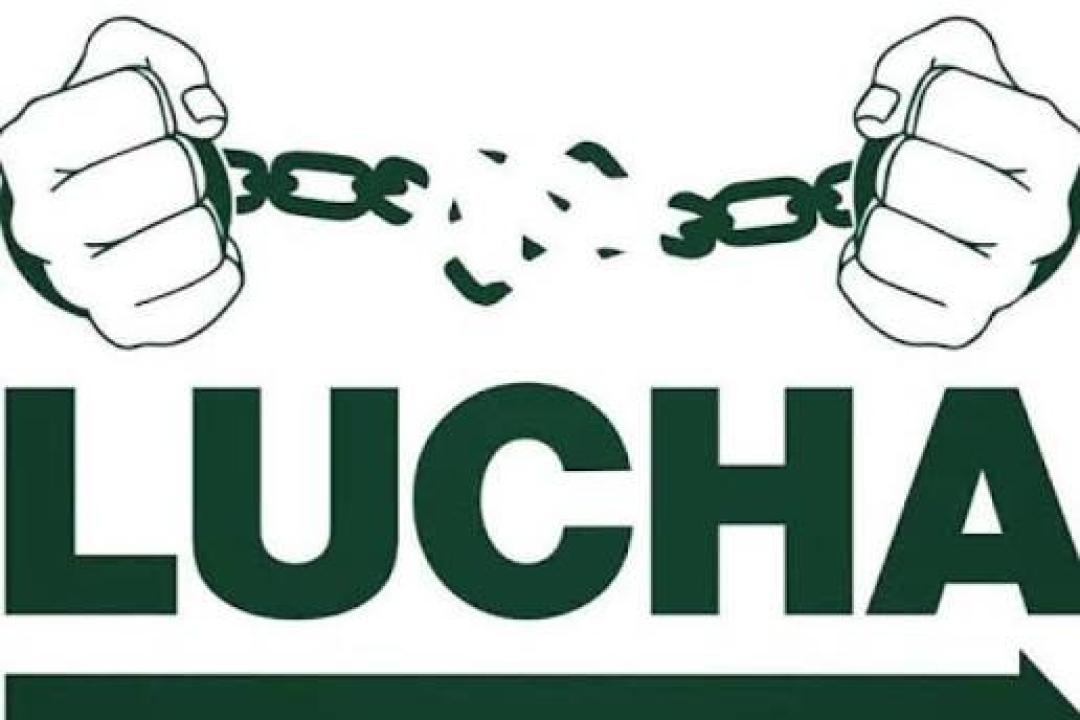 Lucha
